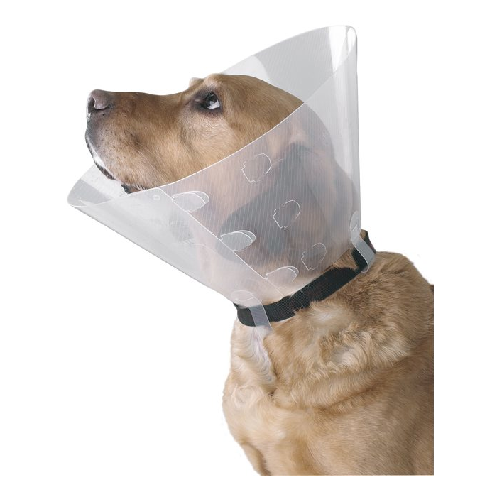 Buster Clic kauluri 10 cm                     